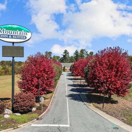 Mountain Inn & Suites Flat Rock Esterno foto